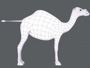 camel v01 3D Model