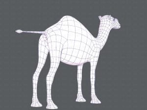 camel v01 Modelo 3D
