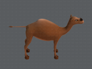 camel v01 Modelo 3D