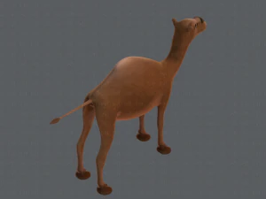 camel v01 3D Model