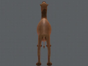 camel v01 3D Model