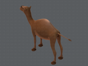 camel v01 Modelo 3D