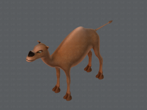 camel v01 Modelo 3D