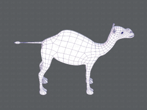 camel v01 Modelo 3D