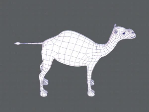 camel v01 3D Model