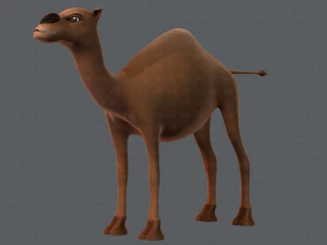 camel v01 3D Model