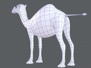 camel v01 3D Model