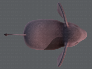 elephant v01 3D Model