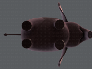 elephant v01 3D Model