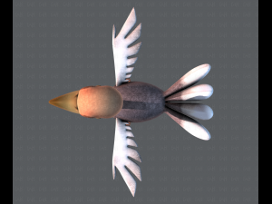 ostrich v01 3D 模型