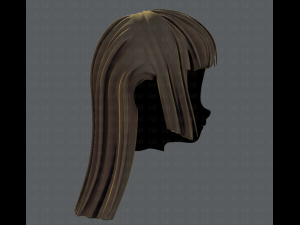 3d hair style for girl v50 3D Model