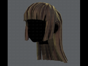 3d hair style for girl v50 3D Model