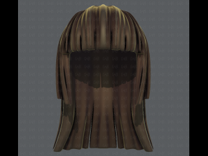 3d hair style for girl v50 3D Model