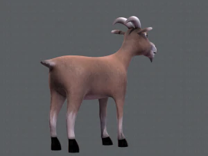 goat v01 3D Model