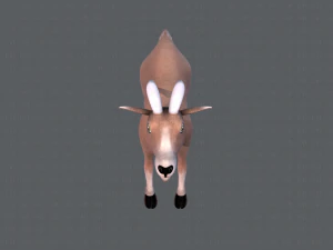 goat v01 3D Model