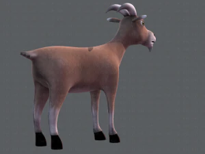 goat v01 3D Model