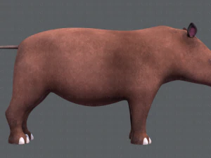 rinoceronte v01 Modello 3D