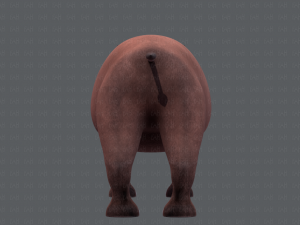 rhino v01 3D Модель