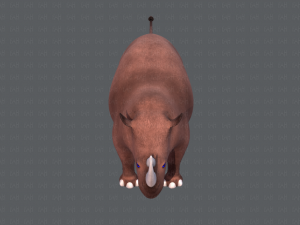 rhino v01 3D Модель