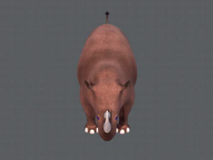 rinoceronte v01 Modello 3D
