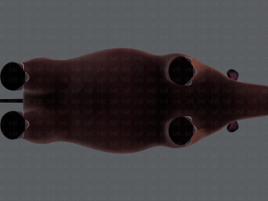rhino v01 3D Модель