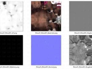 rinoceronte v01 Modello 3D