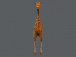giraffa v01 Modello 3D