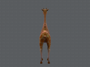 giraffe v01 3D Модель