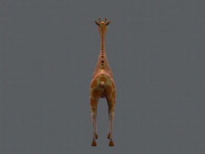 giraffa v01 Modello 3D
