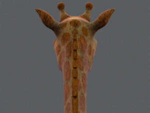 giraffa v01 Modello 3D