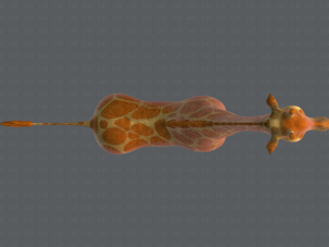 giraffe v01 3D Модель