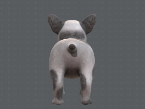 dog base cartoonv03 Modello 3D