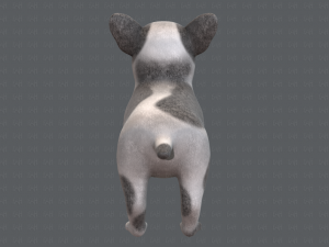 dog base cartoonv03 Modello 3D