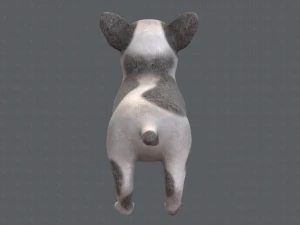 dog base cartoonv03 3D Model