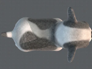 dog base cartoonv03 3D Model