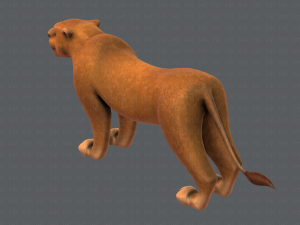 lion v01 3D 模型