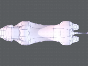 lion v01 3D 模型