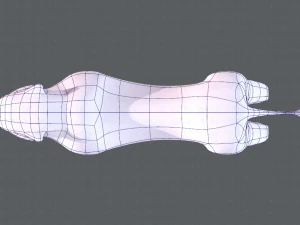 lion v01 3D Model