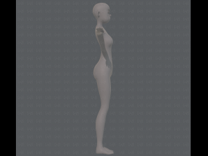 base mesh woman 15 3D Model