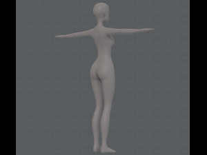 base mesh woman 15 3D Model
