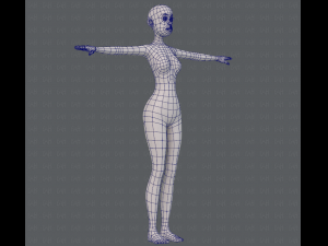 base mesh woman 15 3D Model