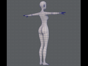 base mesh woman 15 3D Model