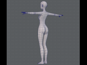 base mesh woman 15 3D Model