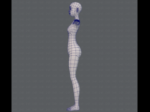 base mesh woman 15 3D Model