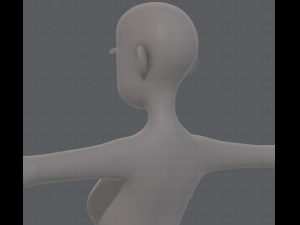 base mesh woman 15 3D Model
