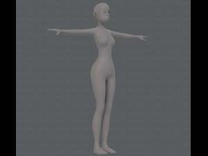 base mesh woman 15 3D Model