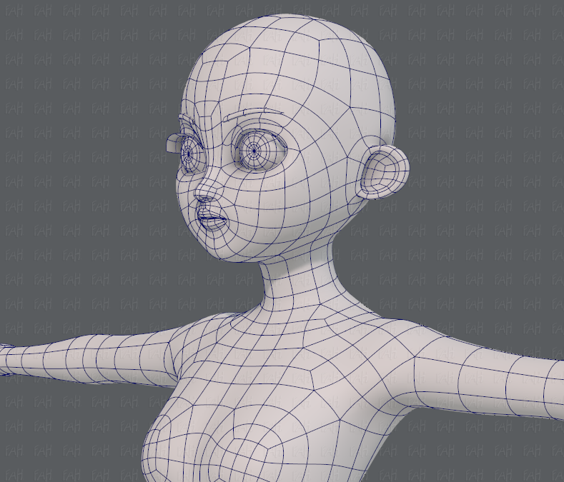 Female Custom Base Mesh 3d Model