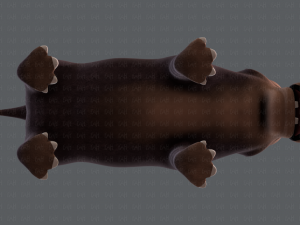 hippo v01 Modelo 3D