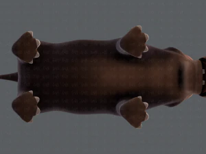 hippo v01 3D Model