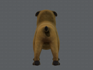 dog base cartoonv04 3D-Modell